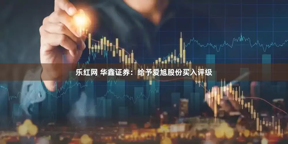 乐红网 华鑫证券：给予爱旭股份买入评级