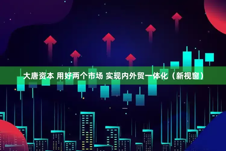大唐资本 用好两个市场 实现内外贸一体化（新视窗）