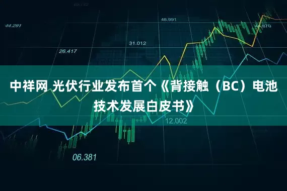 中祥网 光伏行业发布首个《背接触（BC）电池技术发展白皮书》